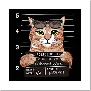 Cat Confession Police Board Posters and Art